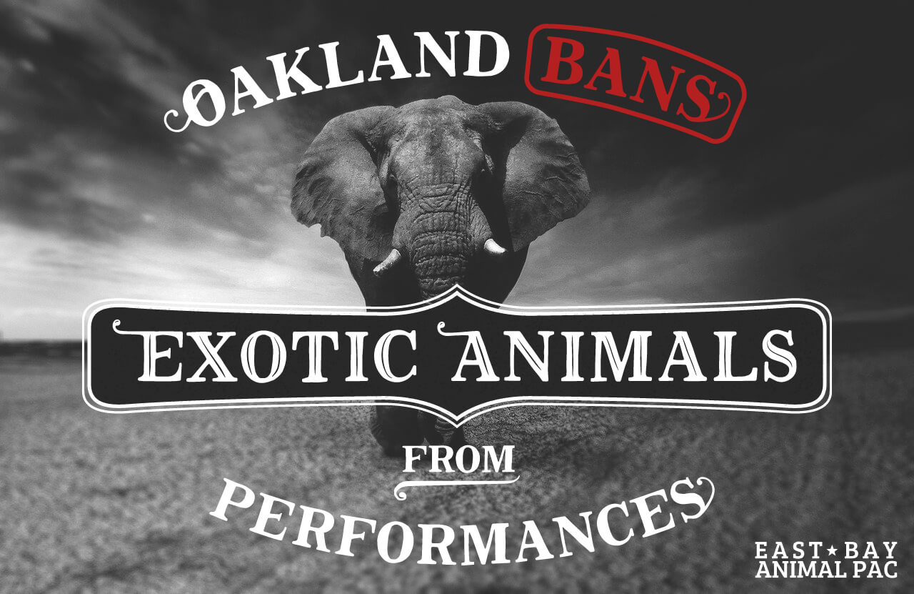 oakland bans wild animal acts